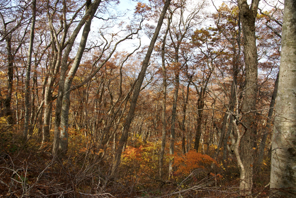 f0214649_438336.jpg