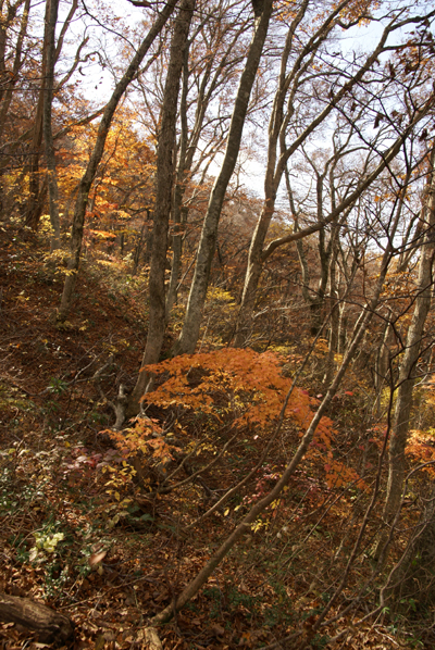 f0214649_4384854.jpg