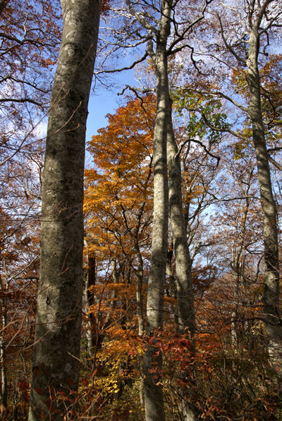 f0214649_439316.jpg