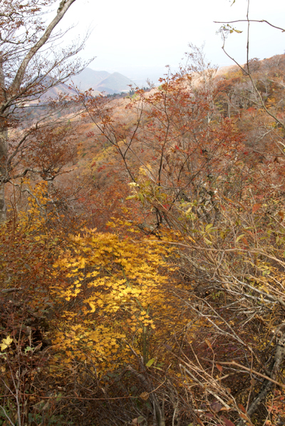 f0214649_439580.jpg