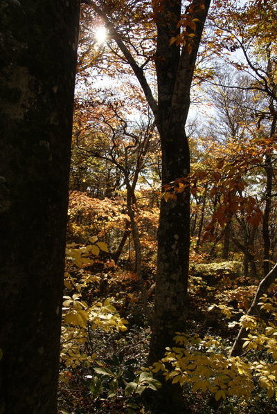 f0214649_4404131.jpg