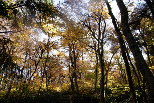 f0214649_4435128.jpg