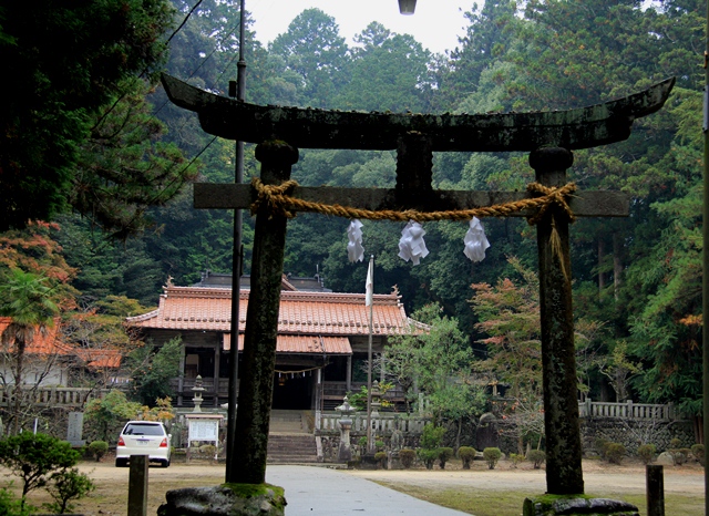 d0163550_1657115.jpg