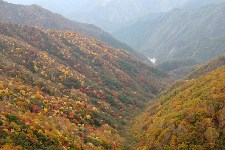 e0131355_2155243.jpg