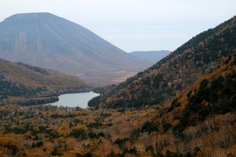 e0131355_21563020.jpg