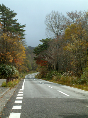 c0050264_11374614.jpg
