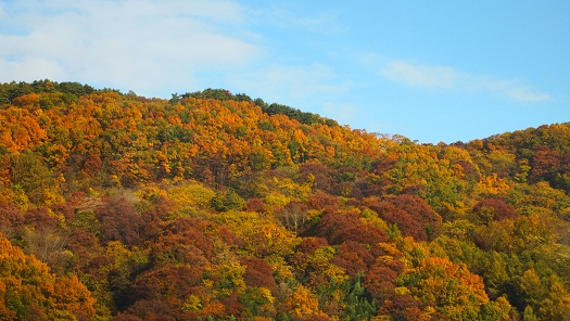 a0141366_2259653.jpg