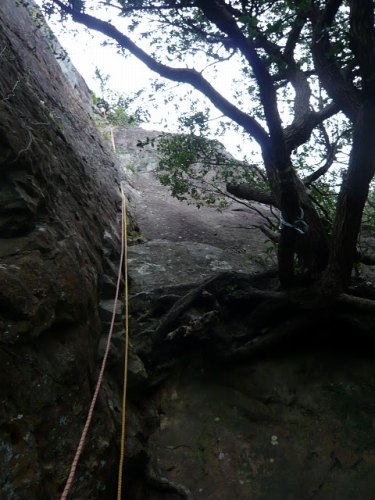 b0050067_1205881.jpg