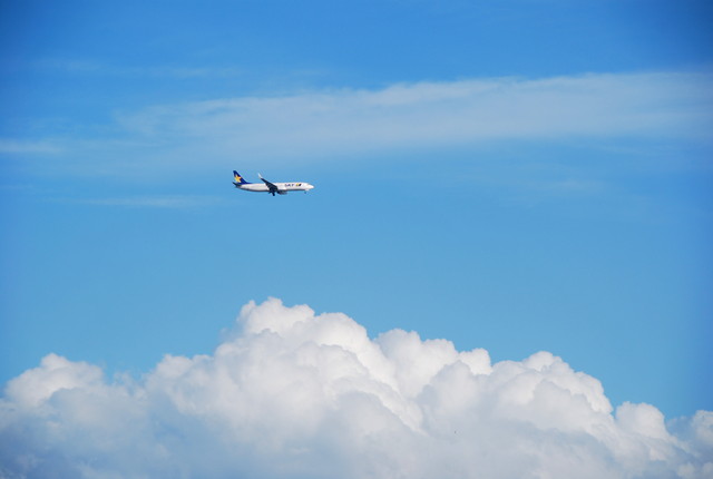 b0174068_23325524.jpg