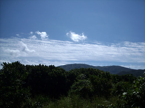 e0097770_11473313.jpg