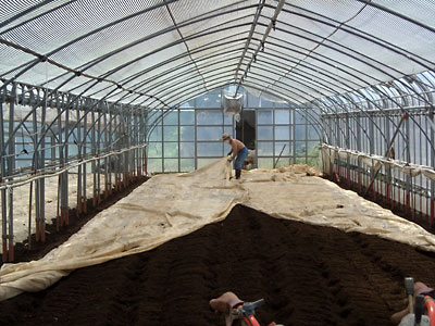 e0097770_1174148.jpg