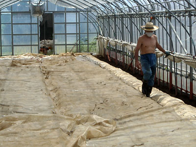 e0097770_1181739.jpg