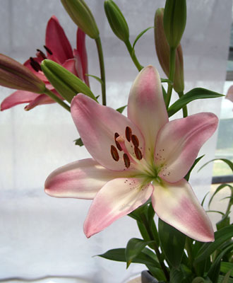e0097770_9464714.jpg