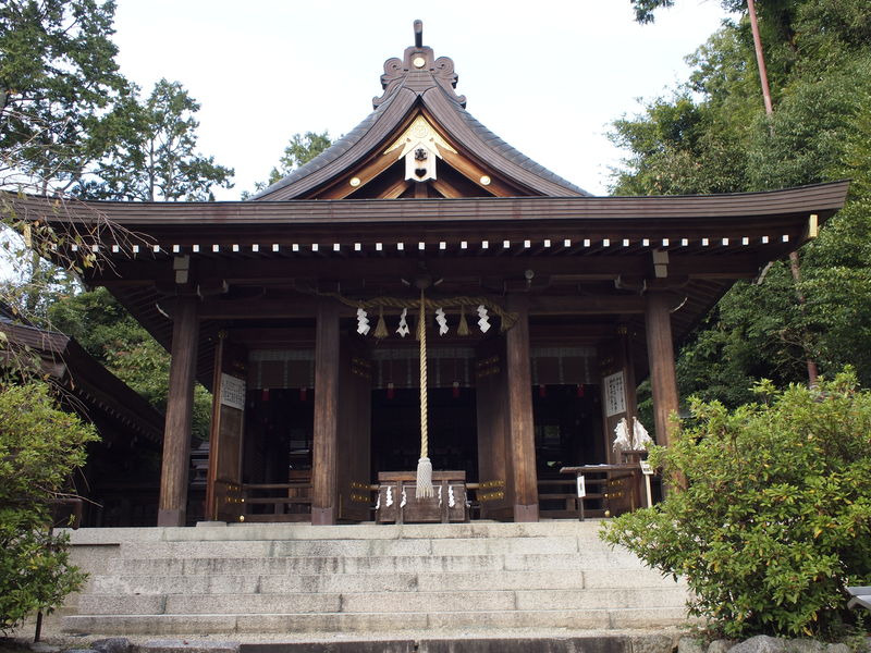 c0177576_1443866.jpg