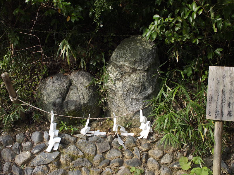 c0177576_15501524.jpg