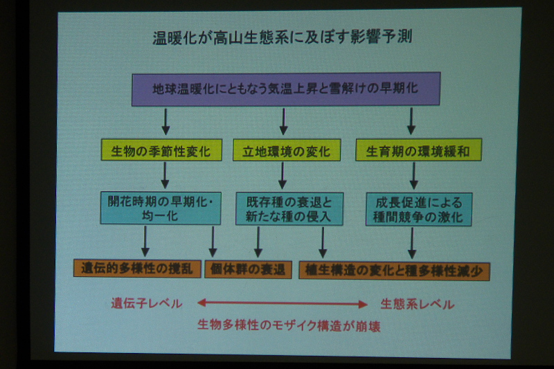 f0090680_10531848.jpg