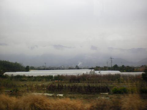 b0005281_23352656.jpg