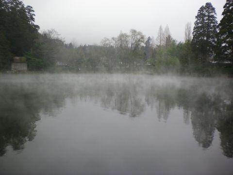 b0005281_2338132.jpg