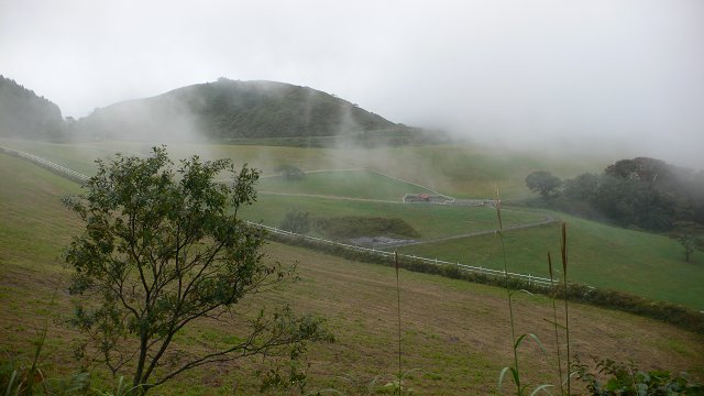b0042882_14382975.jpg