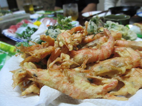 d0098183_19235269.jpg