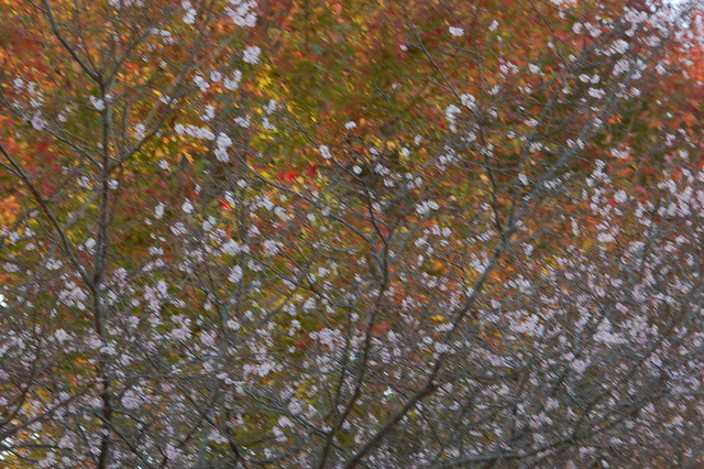 b0203588_19244997.jpg
