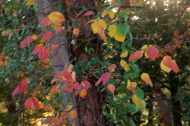 b0203588_19284728.jpg