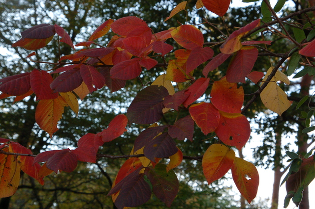 b0203588_19291113.jpg