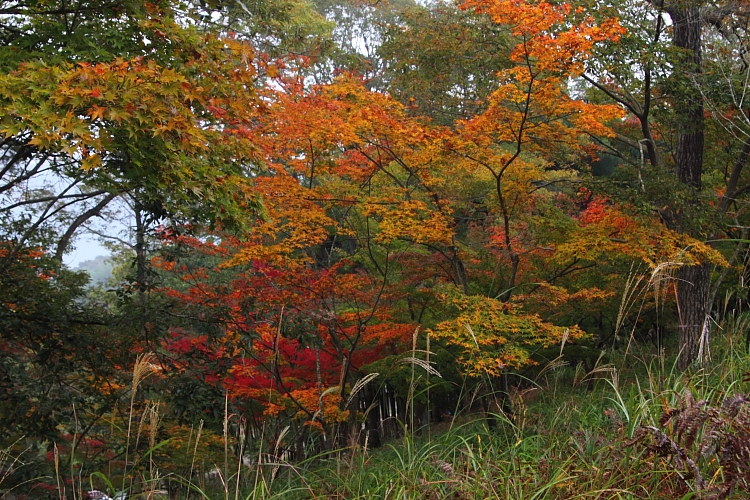 e0051888_2512517.jpg