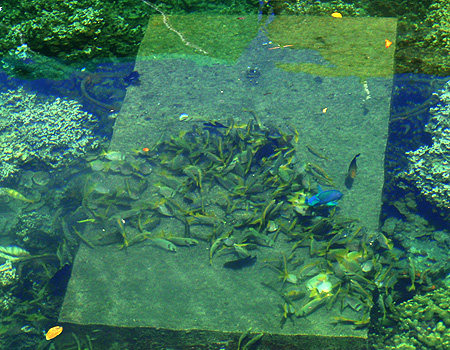 e0105088_15452228.jpg
