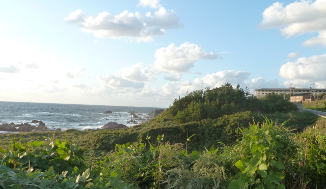 f0166694_2115887.jpg