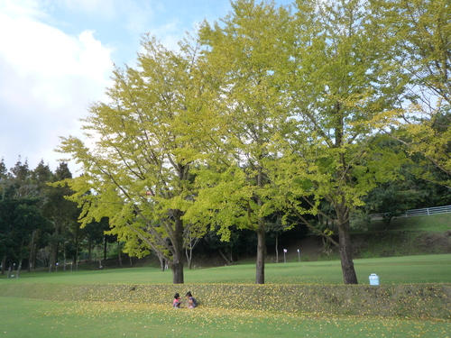 f0210694_21591497.jpg