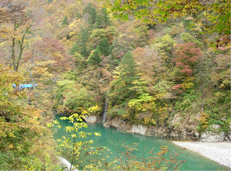 d0129295_141115.jpg