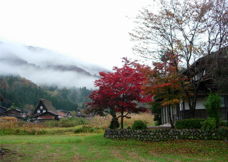 d0129295_1416639.jpg