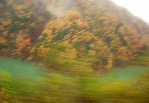 d0129295_14334617.jpg