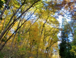 c0151898_1733417.jpg