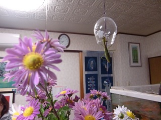 c0187298_21202366.jpg
