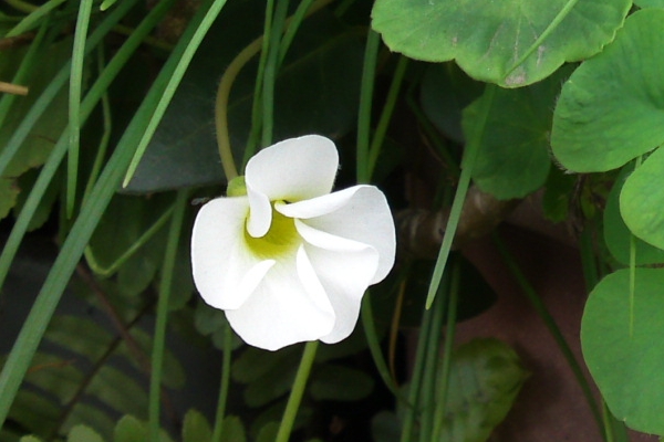 a0031000_23104733.jpg