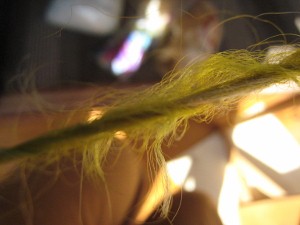 e0033301_1444060.jpg