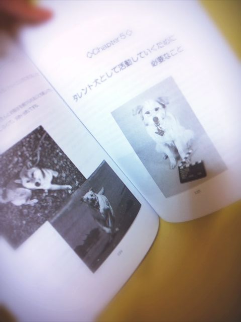 a0032004_1663119.jpg