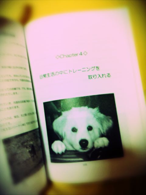 a0032004_1683087.jpg