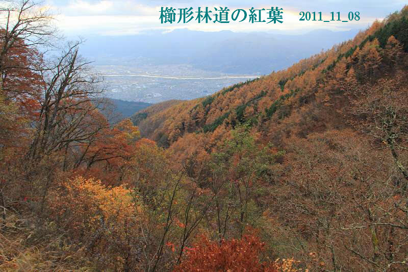 a0188405_8473450.jpg
