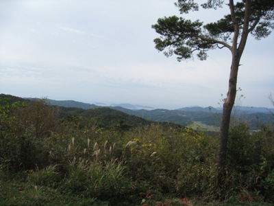 d0116205_2082025.jpg