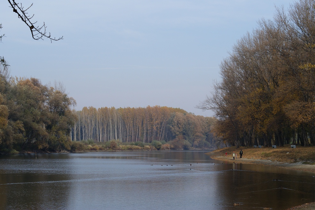 f0144707_19424059.jpg