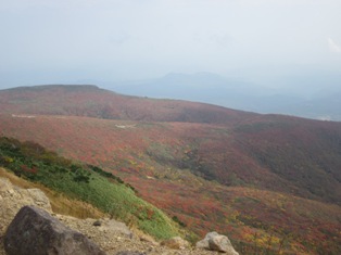 b0110708_15451967.jpg