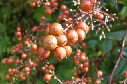 f0221708_20122570.jpg