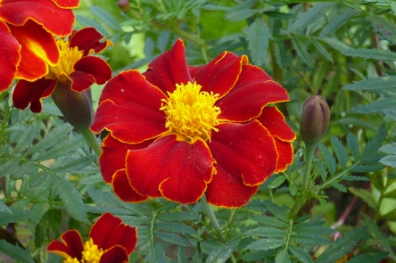 f0221708_20125389.jpg