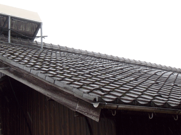 b0159611_0555960.gif