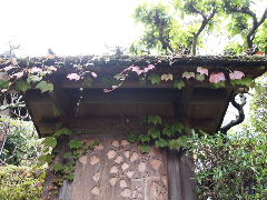 a0157619_21363956.jpg