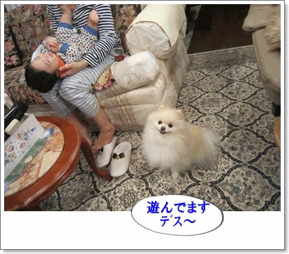 b0167519_1023823.gif
