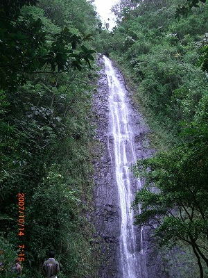 d0195419_16465311.jpg